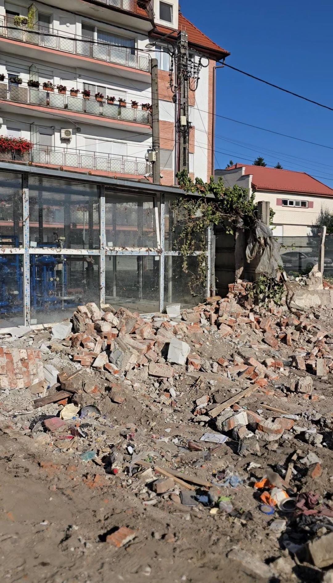 WhatsApp Image 2025-07-04 at 10.48.08 AM (1)