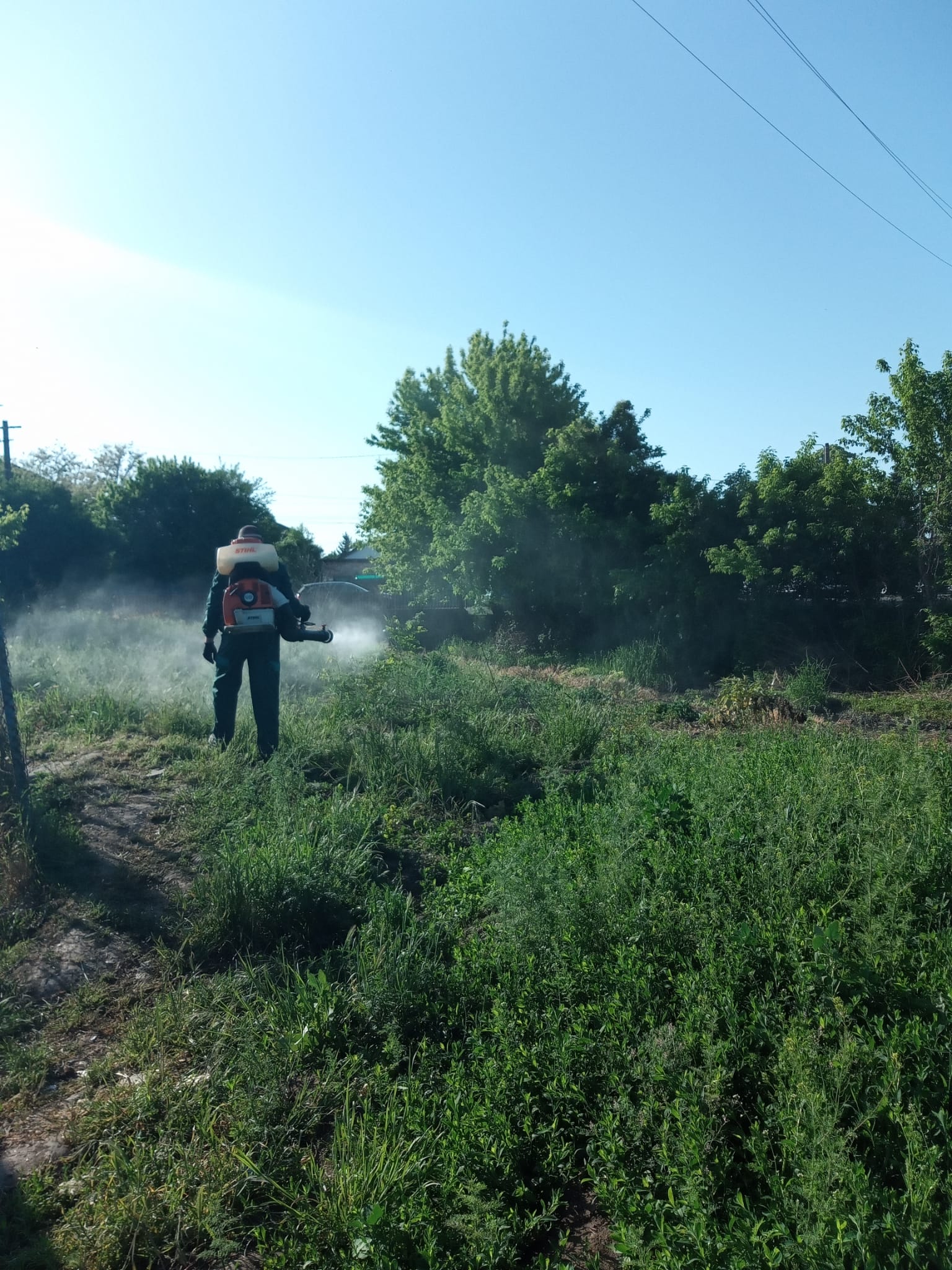 dezinsectie
494 kB dezinsectie