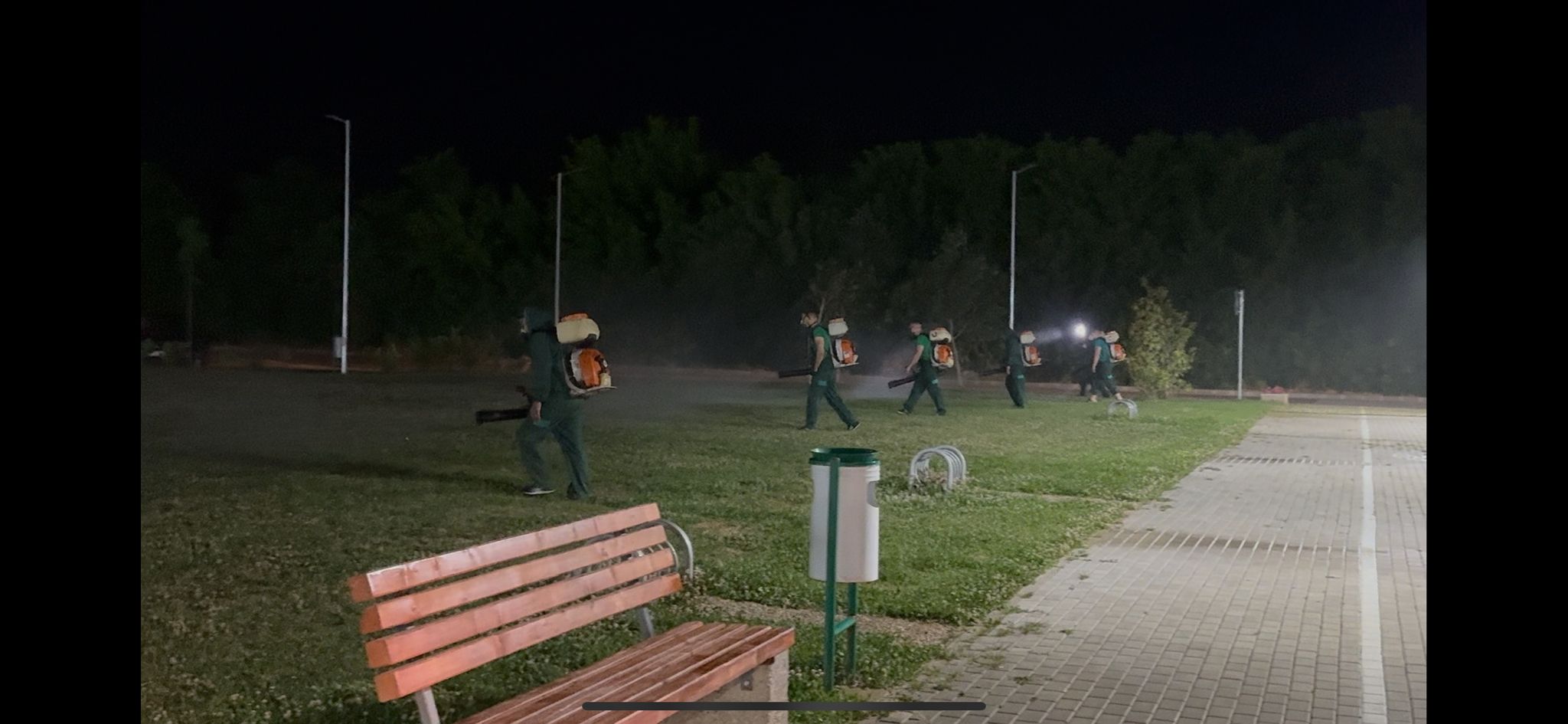 dezinsectie 4169 kB dezinsectie 4