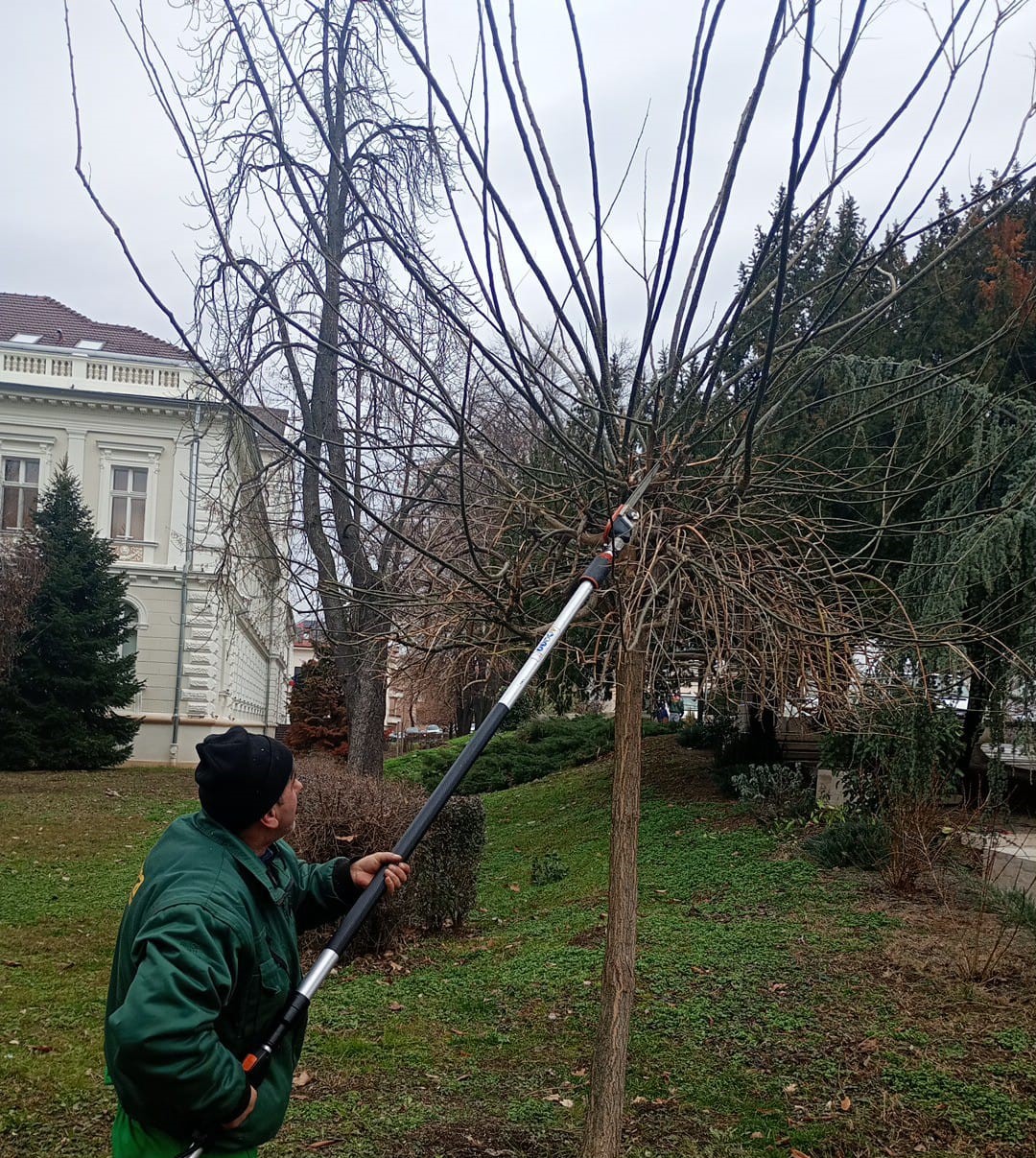 parcuri 5521 kB parcuri 5