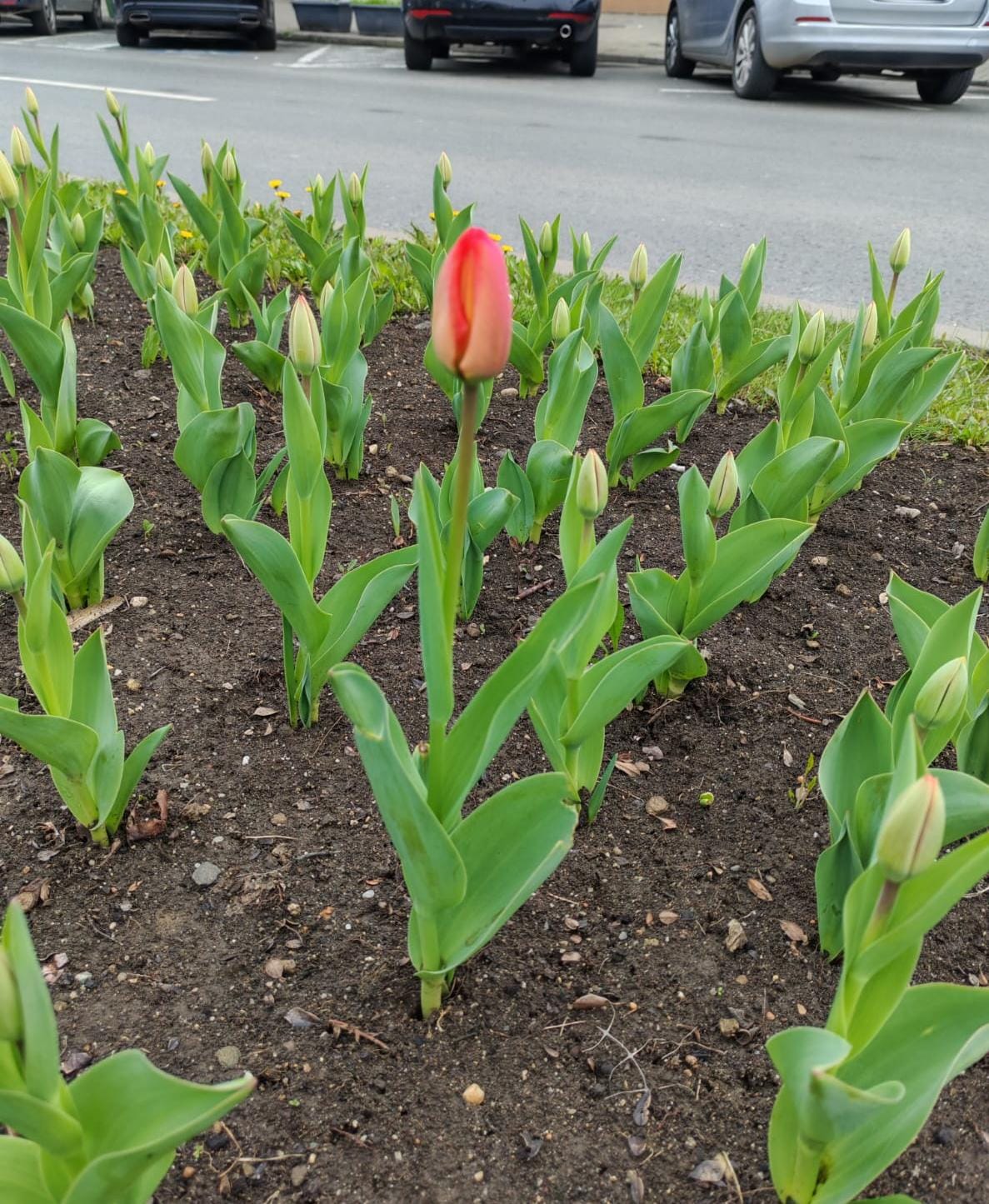 WhatsApp Image 2025-04-01 at 4.34.19 PM