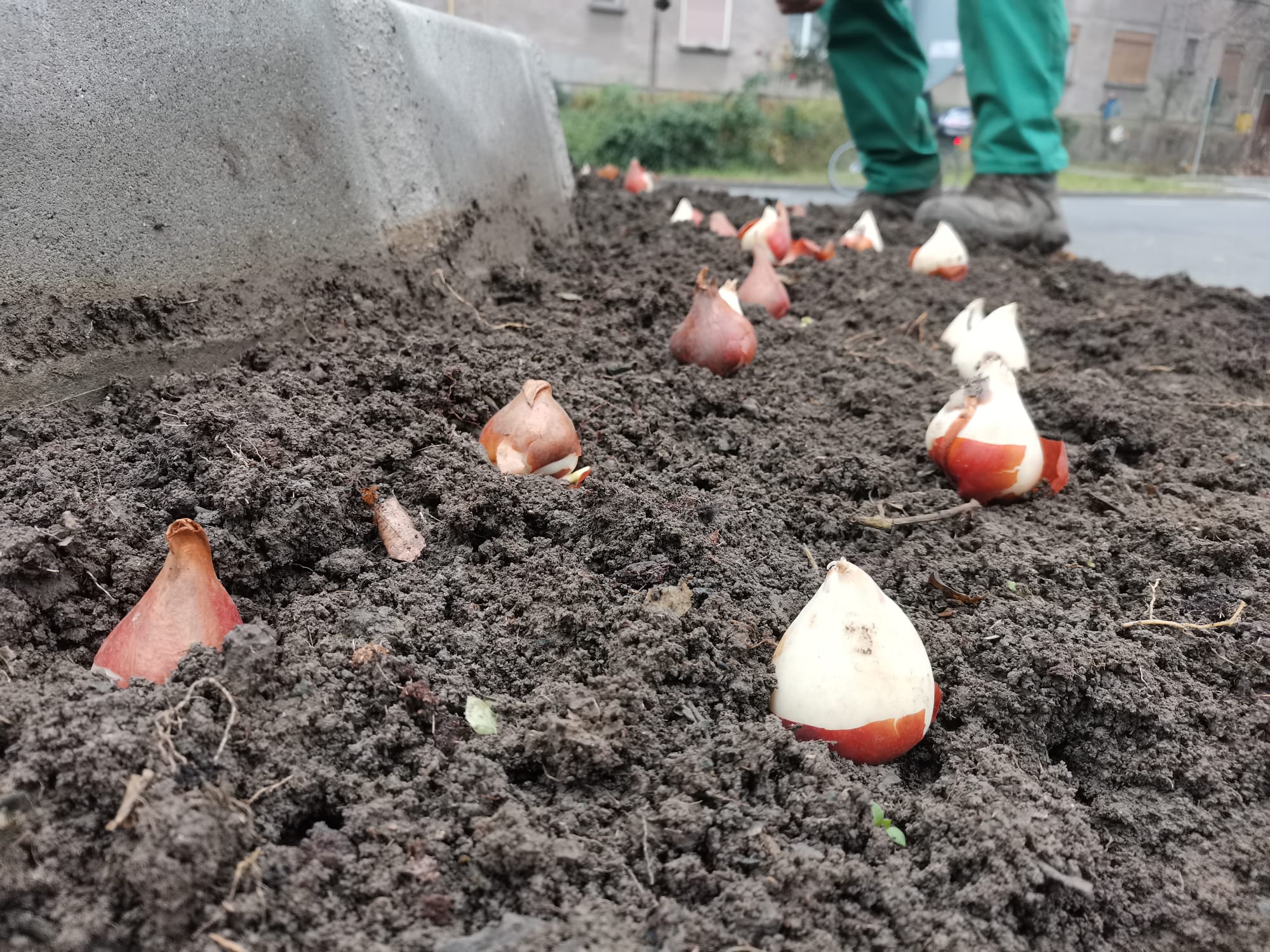 WhatsApp Image 2025-04-01 at 4.31.21 PM
537 kB WhatsApp Image 2025-04-01 at 4.31.21 PM