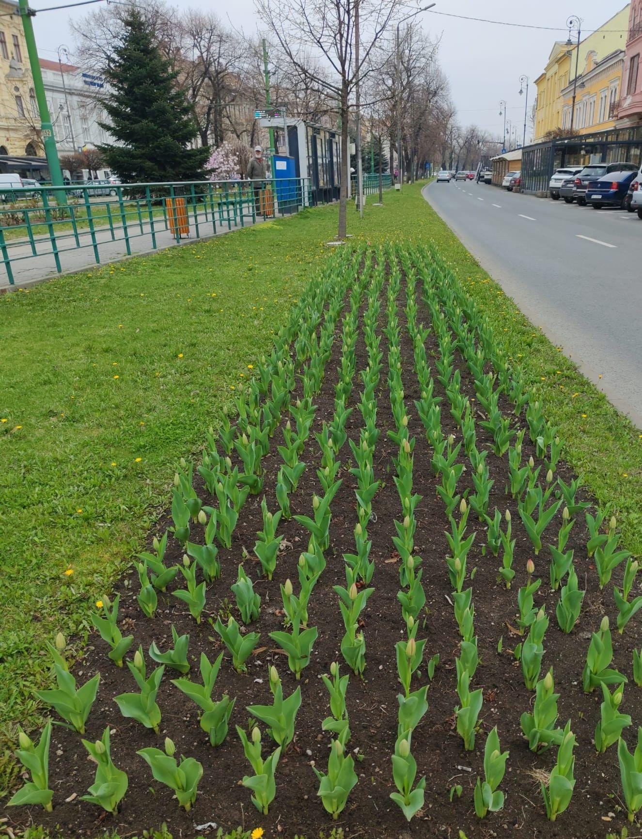 WhatsApp Image 2025-04-01 at 4.33.06 PM
461 kB WhatsApp Image 2025-04-01 at 4.33.06 PM