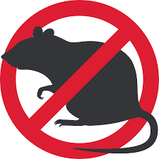 deratizare
5 kB deratizare